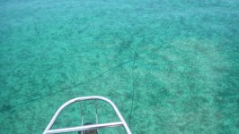 Anchor Chain Bahamas